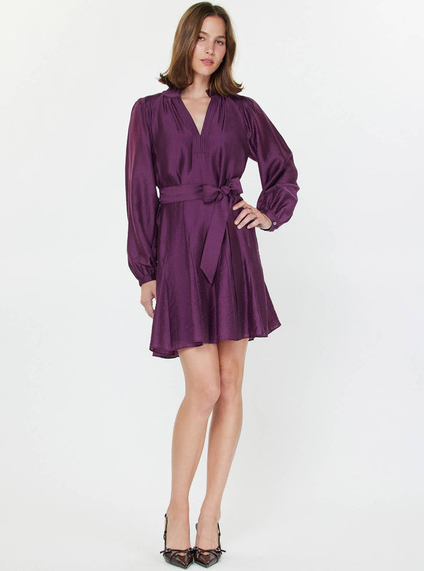 Godet Detail Long Sleeve Mini Dress