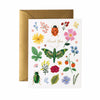 CURIO INSECT THANK YOU CARD