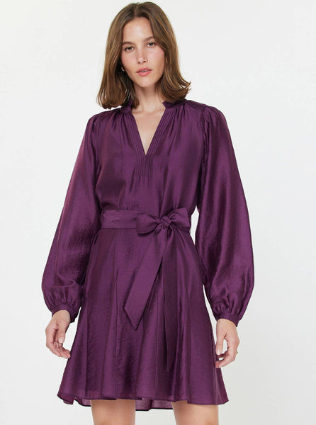 Godet Detail Long Sleeve Mini Dress