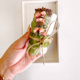 SELENITE THYME Bundle - Smoke Cleansing - Smudge