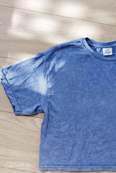 LOCAL Cropped Mineral Graphic Top