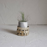 Small Ceramic Air Plant Pot with Air Plant