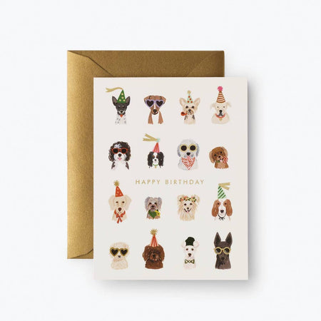 CURIO INSECT THANK YOU CARD