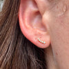 TWILIGHT EAR CLIMBERS