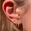 SPIKE HOOPS