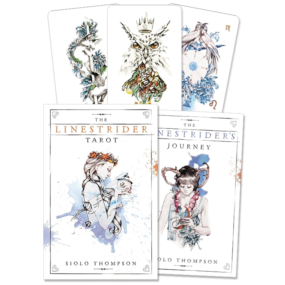 The Linestrider Tarot Set at Katie Diamond in Ridgewood NJ